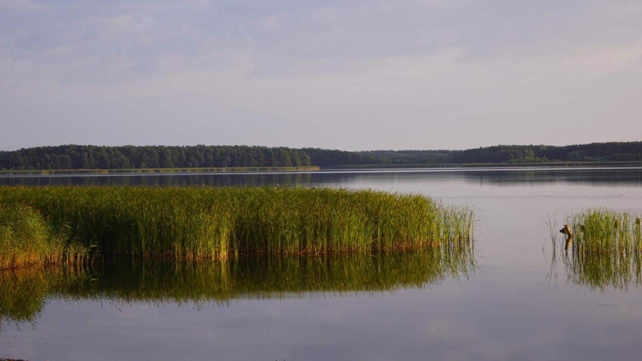 Yacht Club Apartamenty Radzyń Екстериор снимка